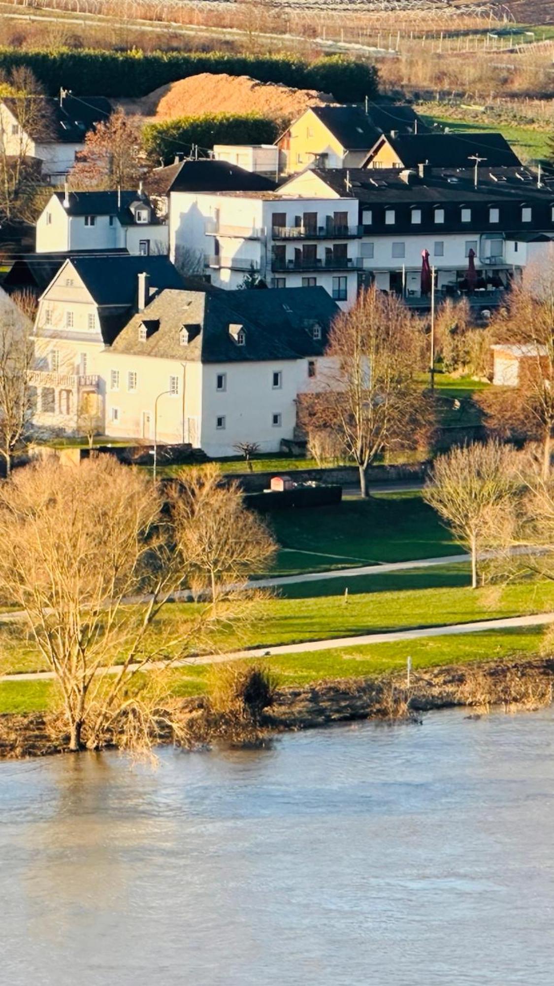 Gut Foersterlay - Exklusive Boutique Apartments Im Historischen Winzerhaus Direkt An Der Mosel Lösnich 외부 사진