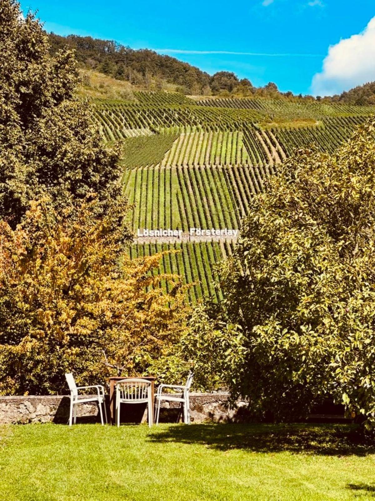 Gut Foersterlay - Exklusive Boutique Apartments Im Historischen Winzerhaus Direkt An Der Mosel Lösnich 외부 사진
